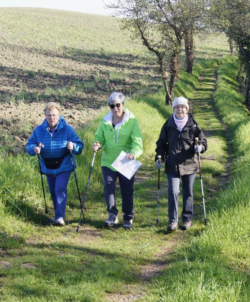 Marcheuses a Creuzier  le neuf