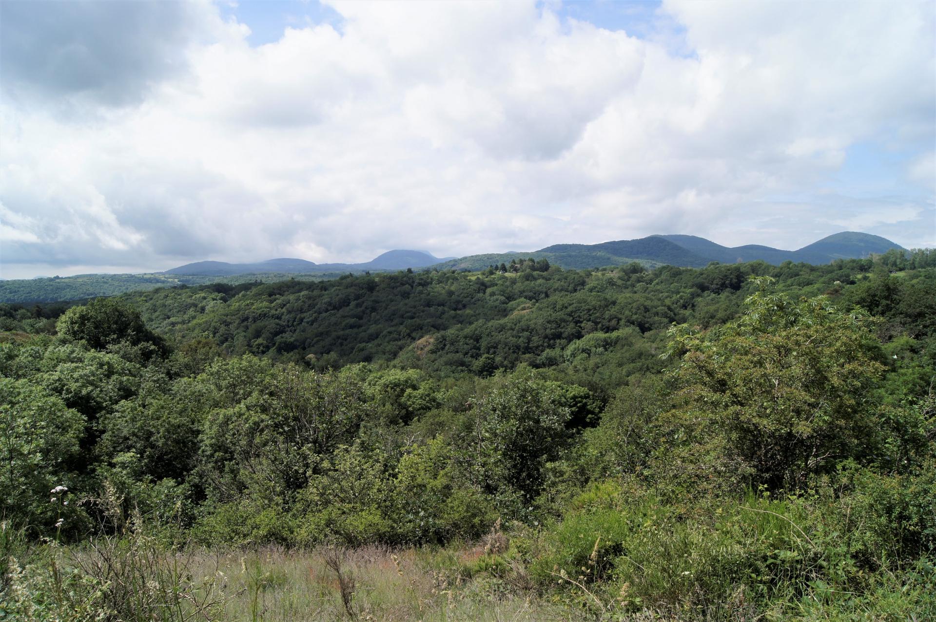 Paysage-1 sur les chemins de Volvic juin 2018