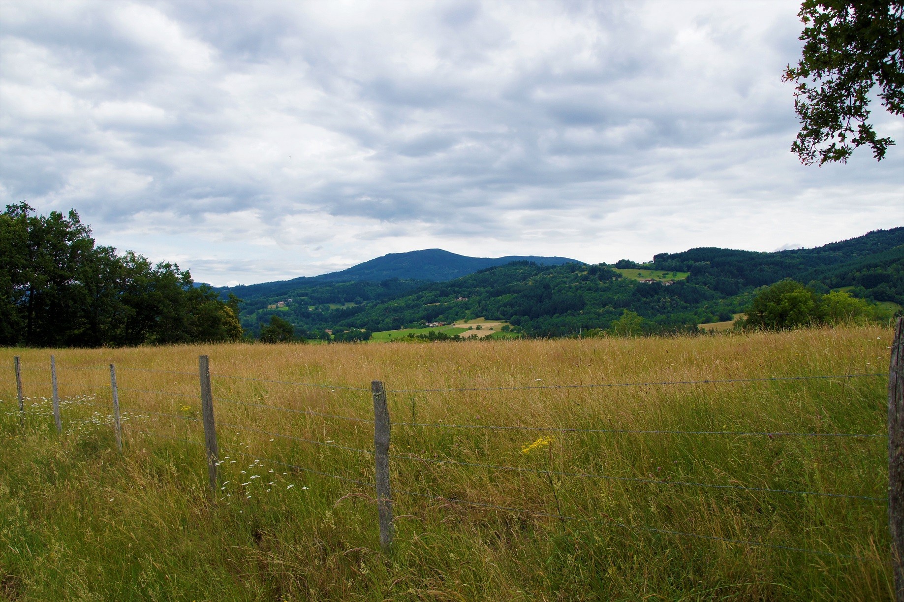 Paysage à Aubusson d'Auvergne1