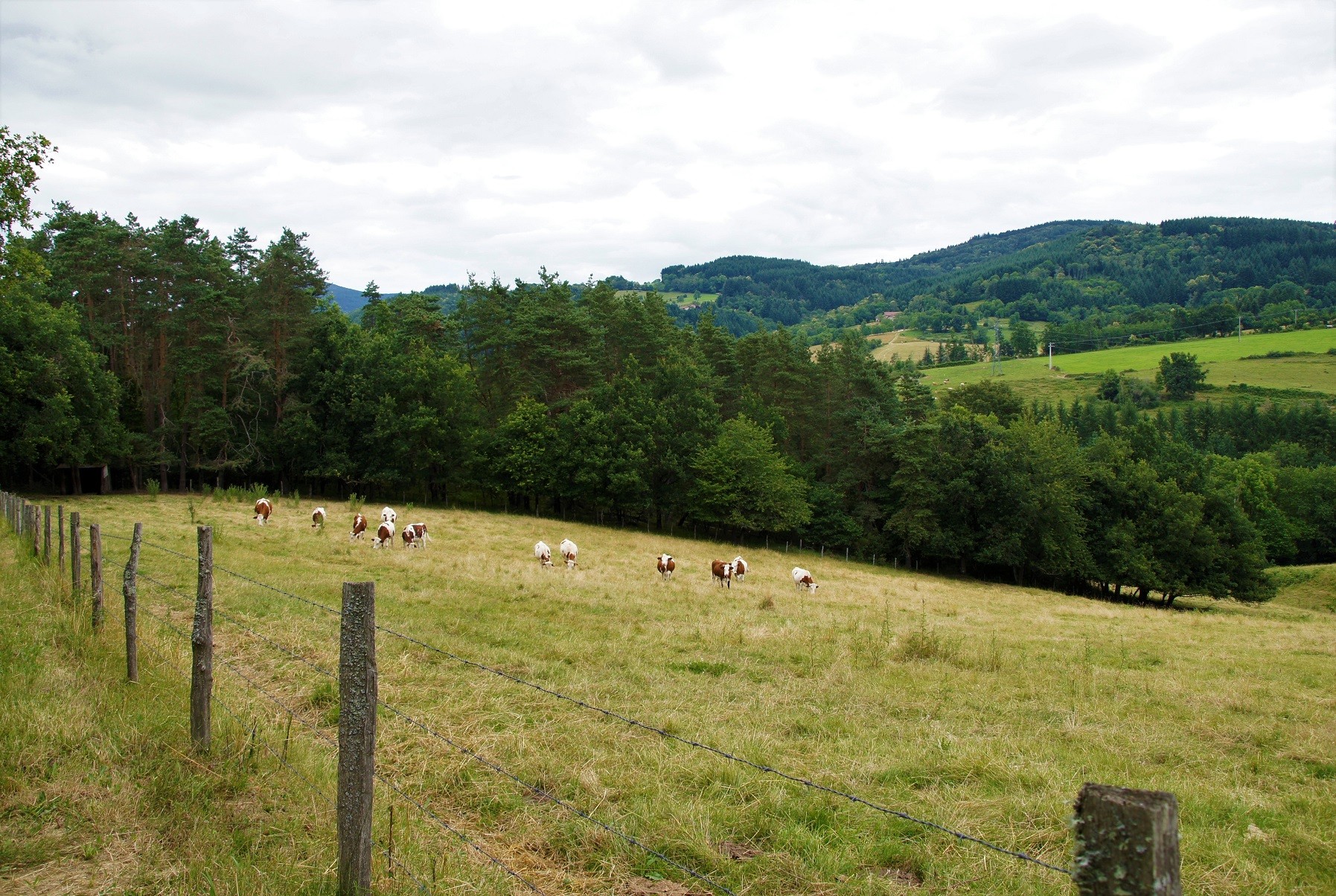 Paysage à Aubusson d'Auvergne2