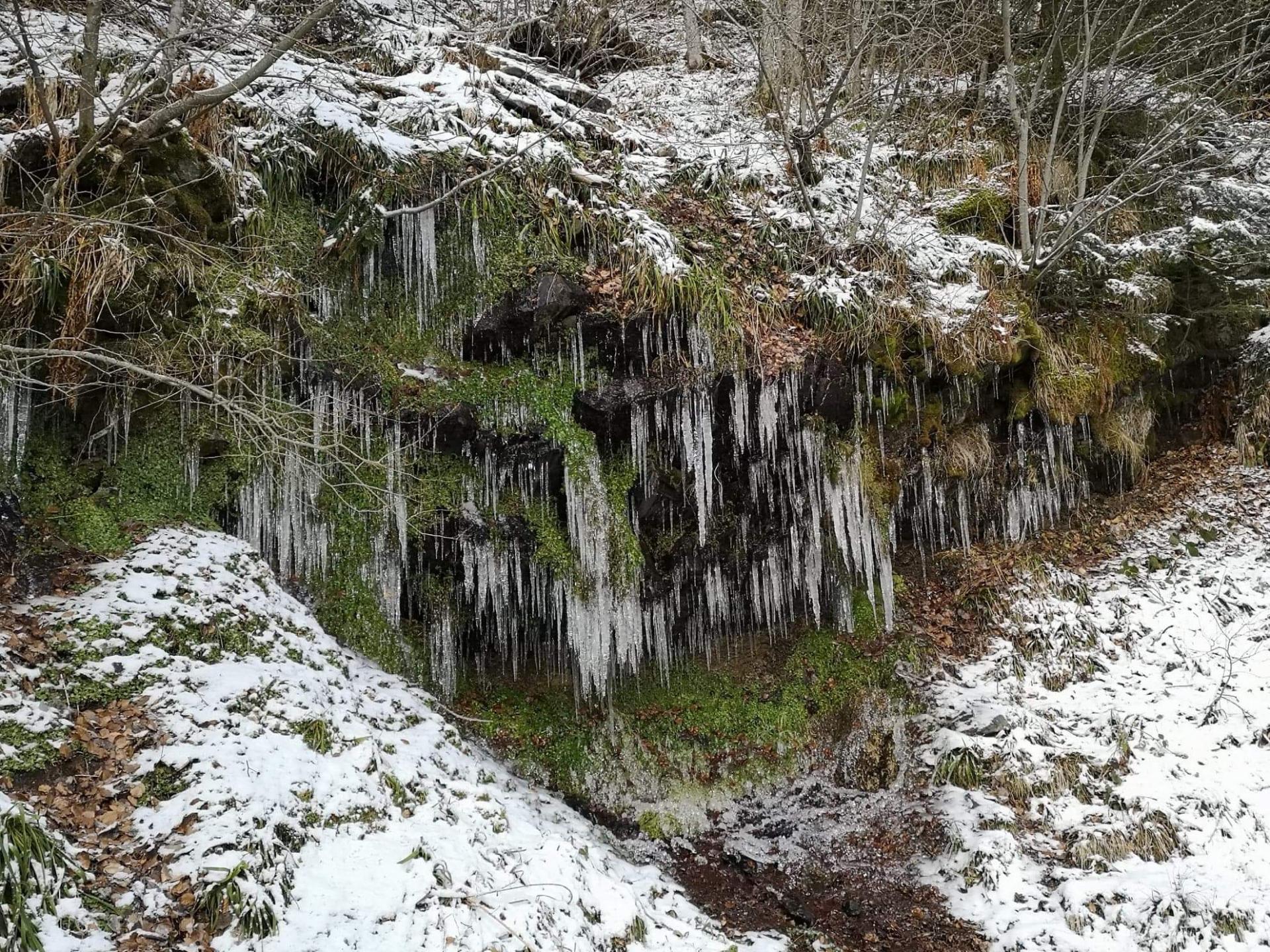 Paysage au Mont Dore1