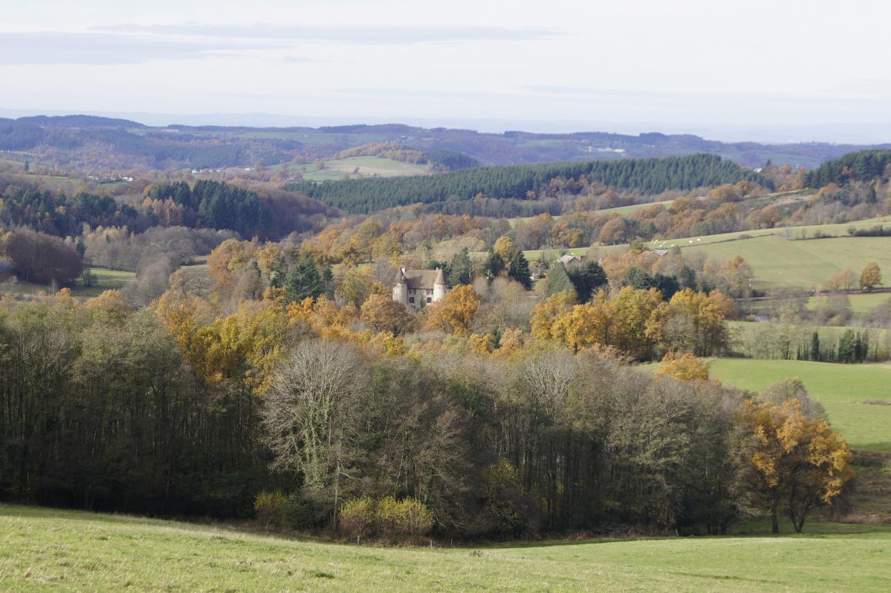 Paysage autour de Ferrieres sur  sichon2