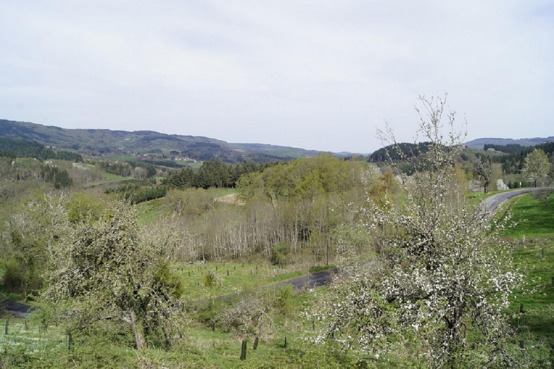 Paysage autour de Laprugne1