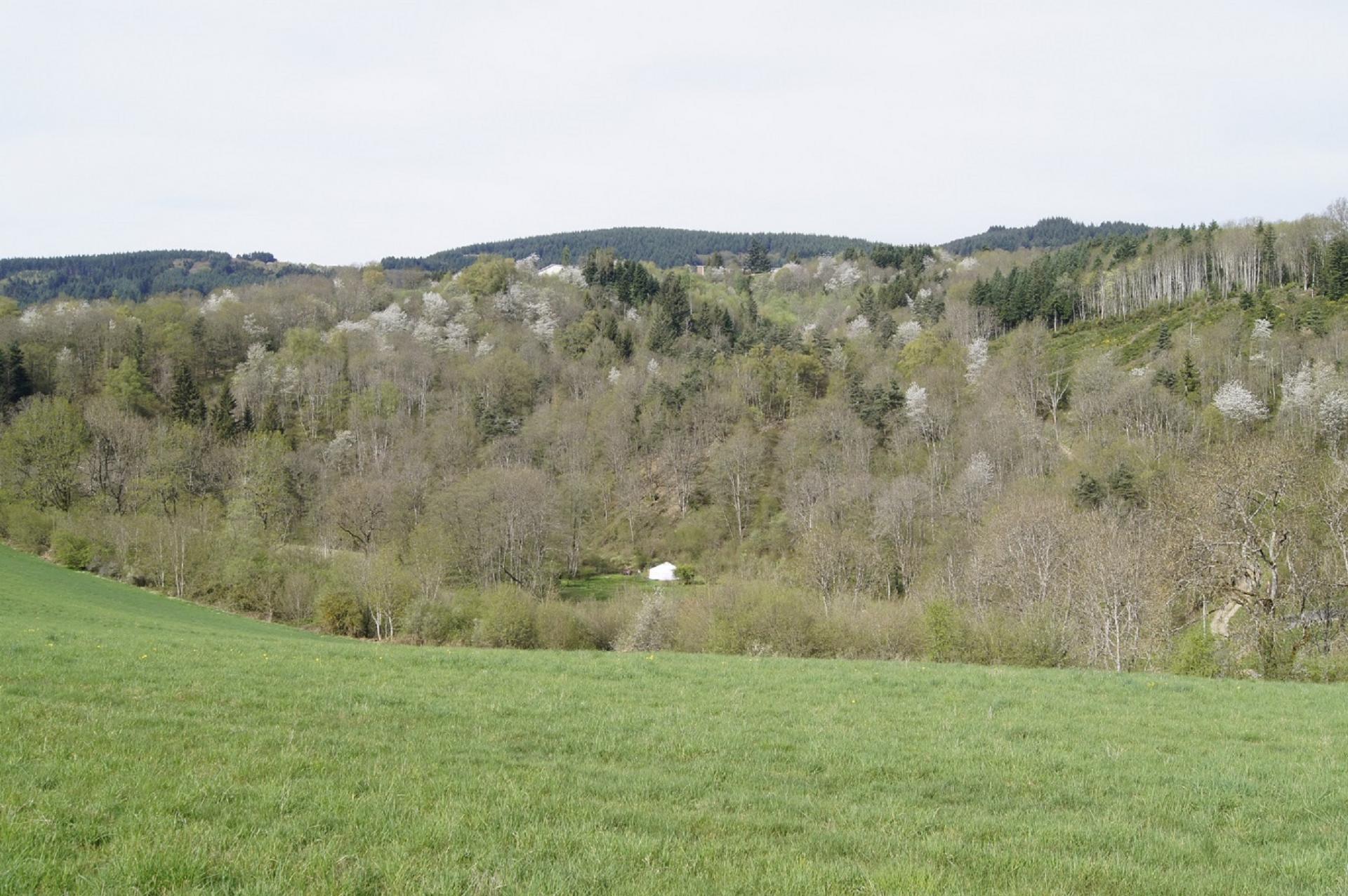 Paysage autour de Laprugne2 mai 2018