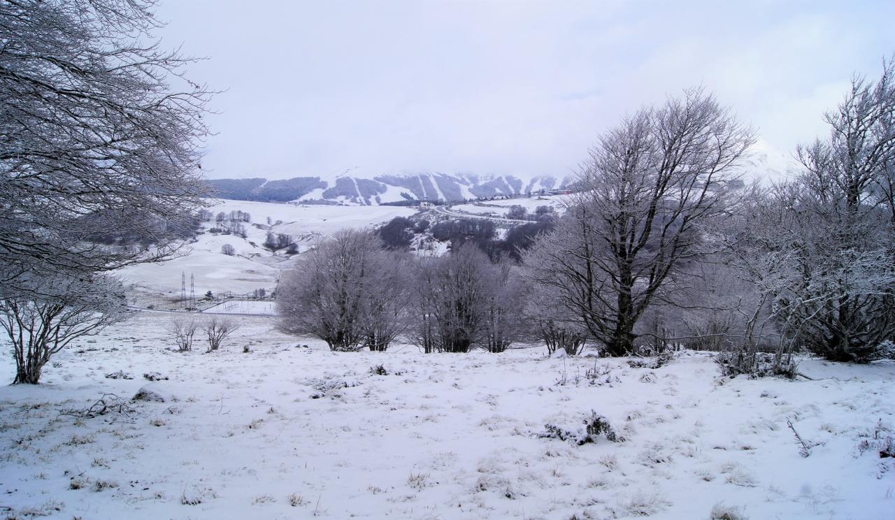 Paysage autour du lac pavin janvier 2018