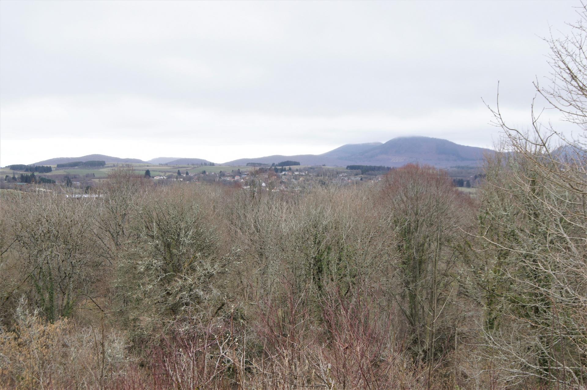 Paysage sur la randonnee a Chapdes-Beaufort