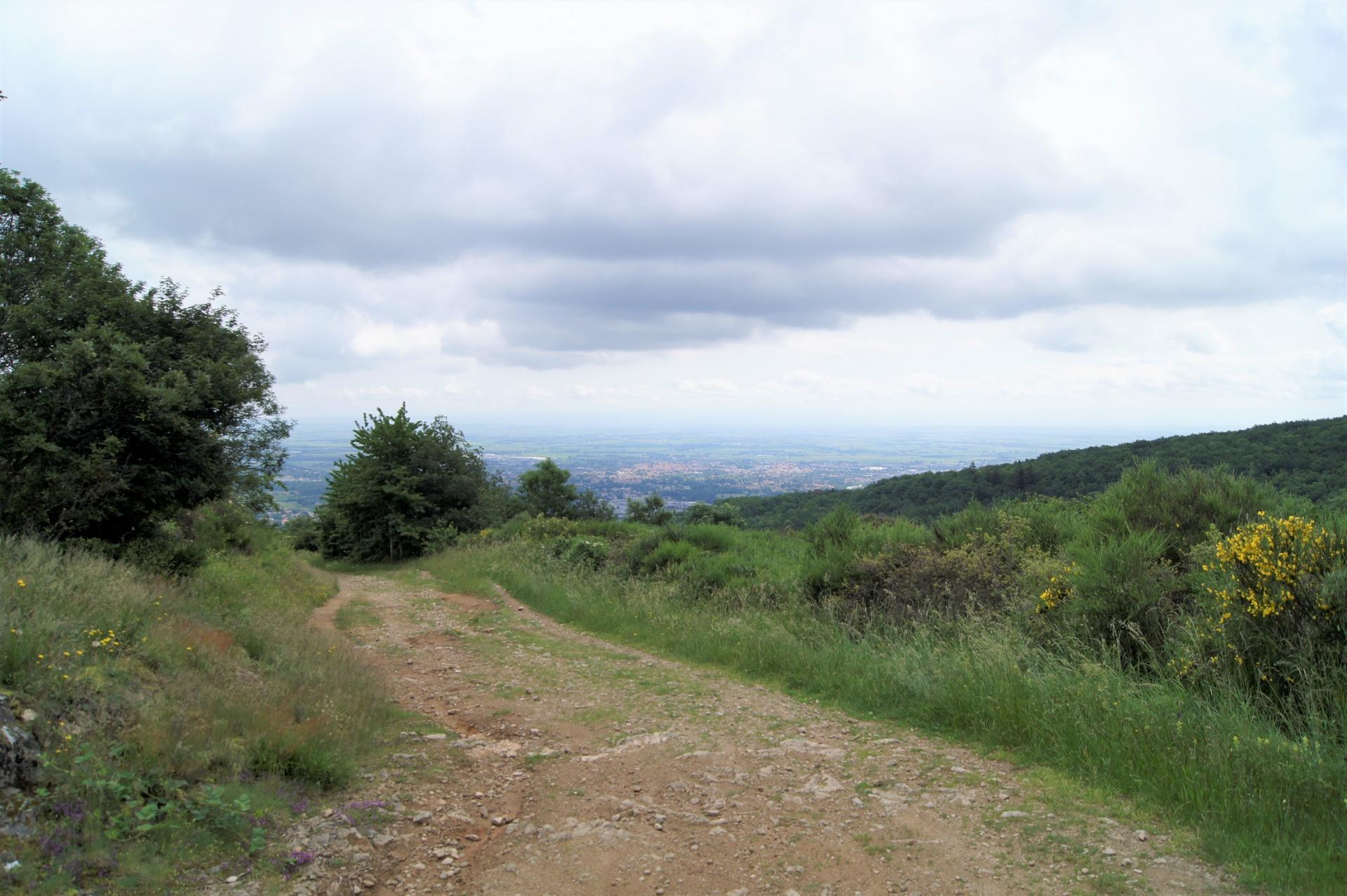 Paysage sur les chemin de Volvic