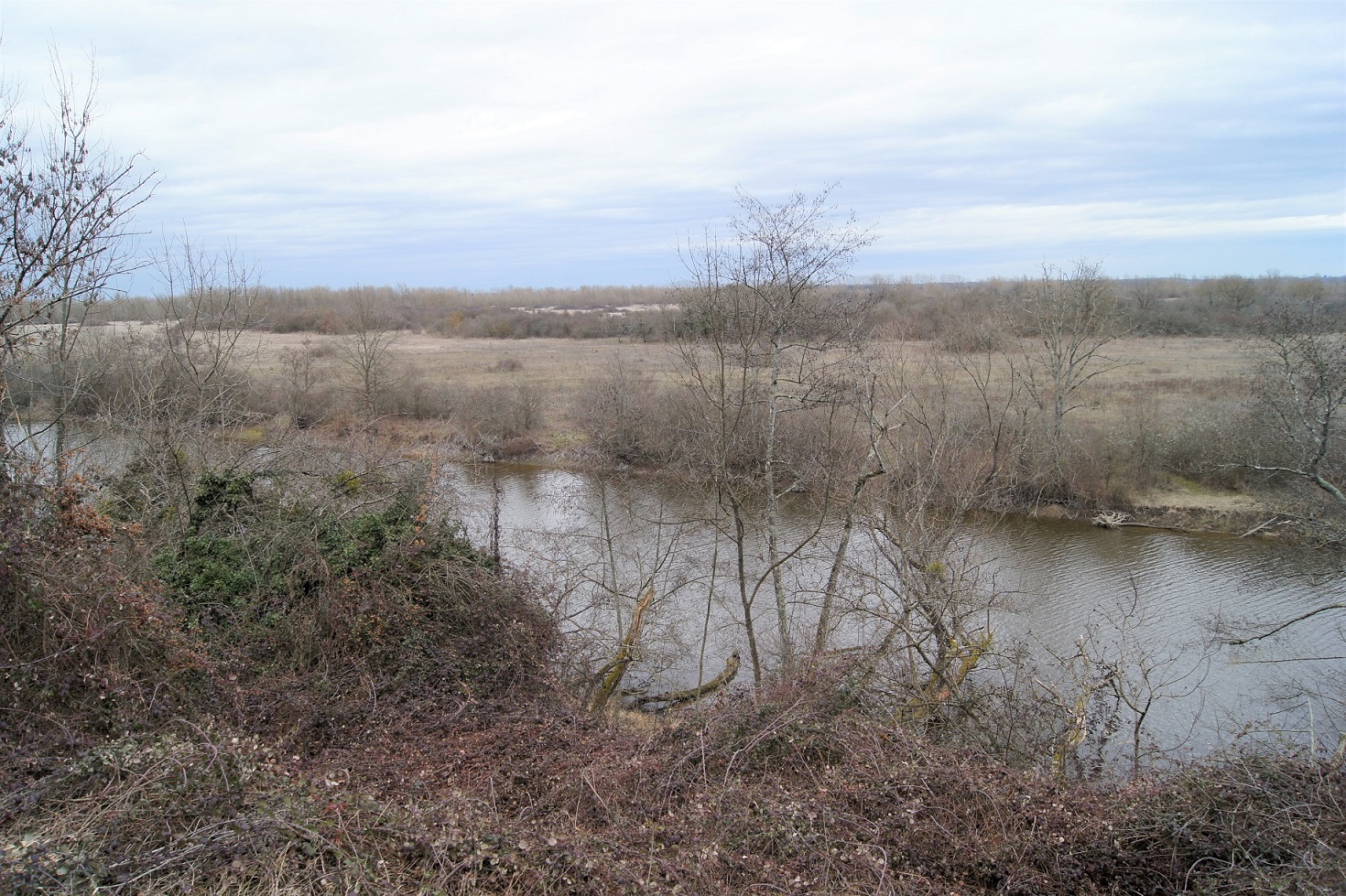 Paysage sur les chemins à Monetay