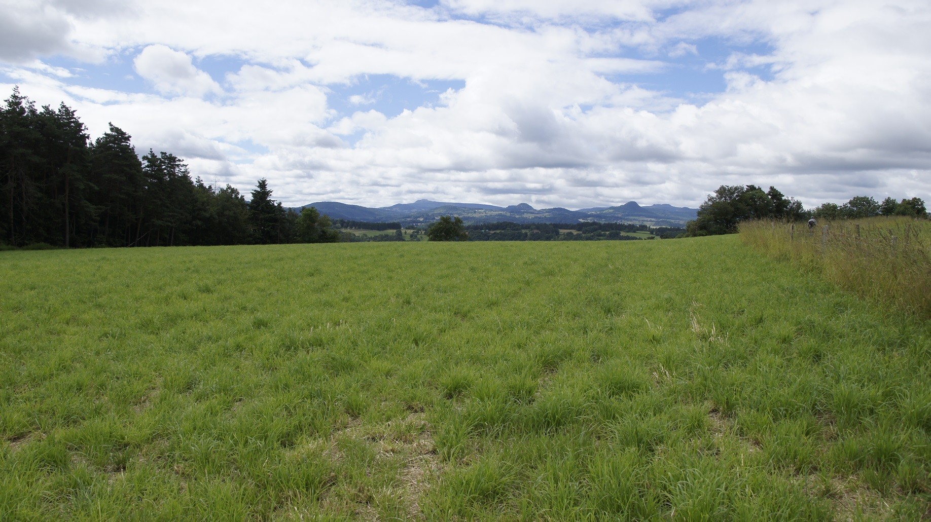 Paysage vivarais