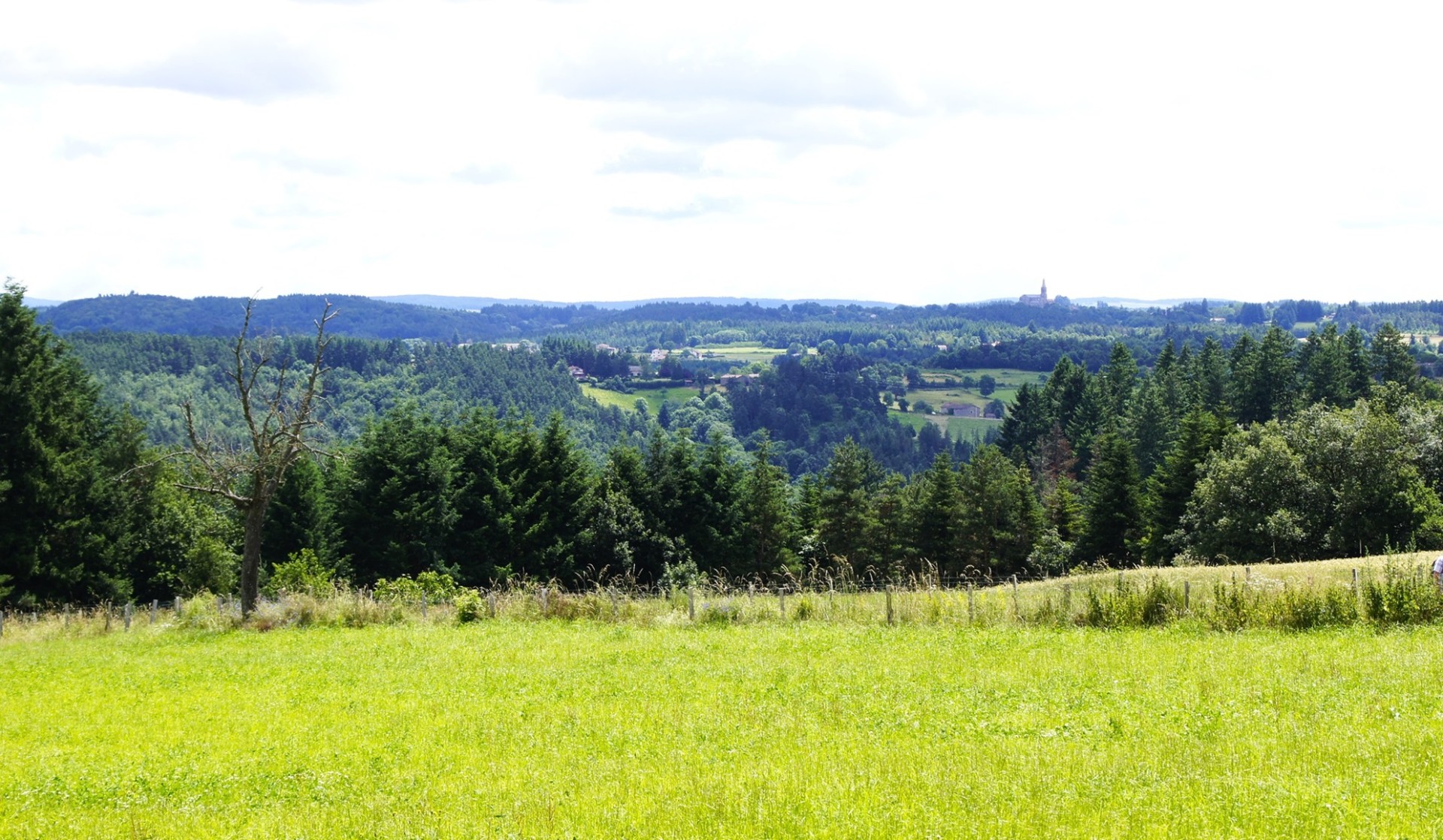 Paysage vivarais2