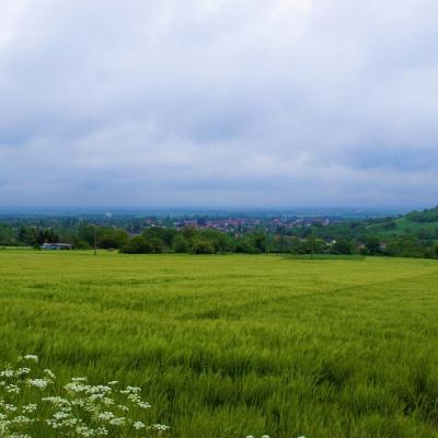 Plaine de Gannat