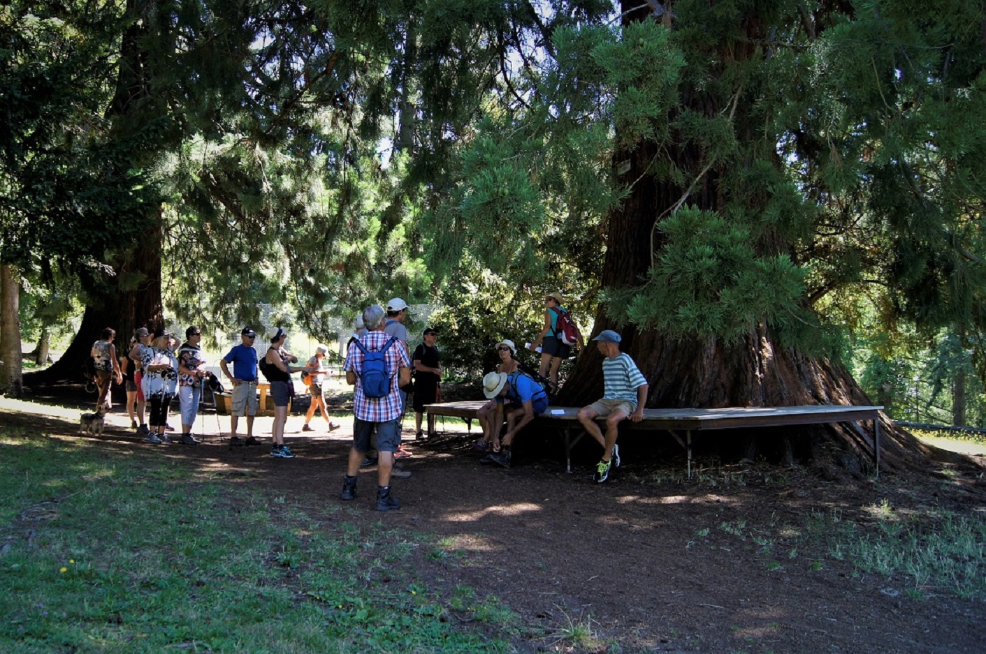 Randonneurs dans le parc de Murol