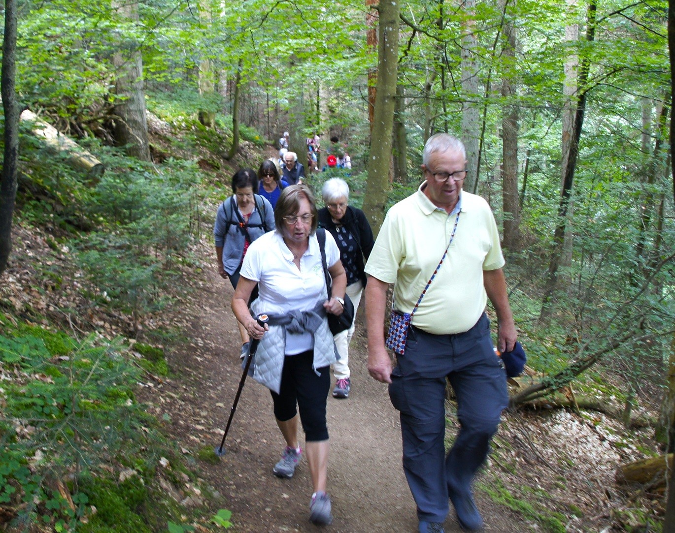 Randonneurs en route pour la passerelle du Lignon