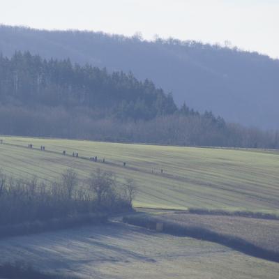 Randonneurs sur les chemins de Charroux
