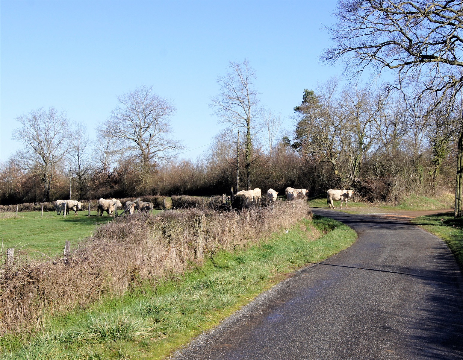 Rencontre sur la rando des guittons avril 2018