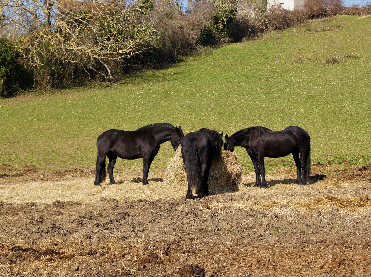 Rencontre sur les chemins de Chareil Cintrat