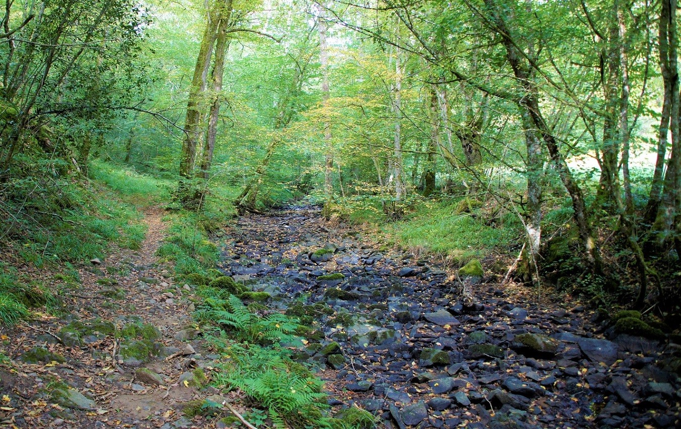 Ruisseau la Vauvre 