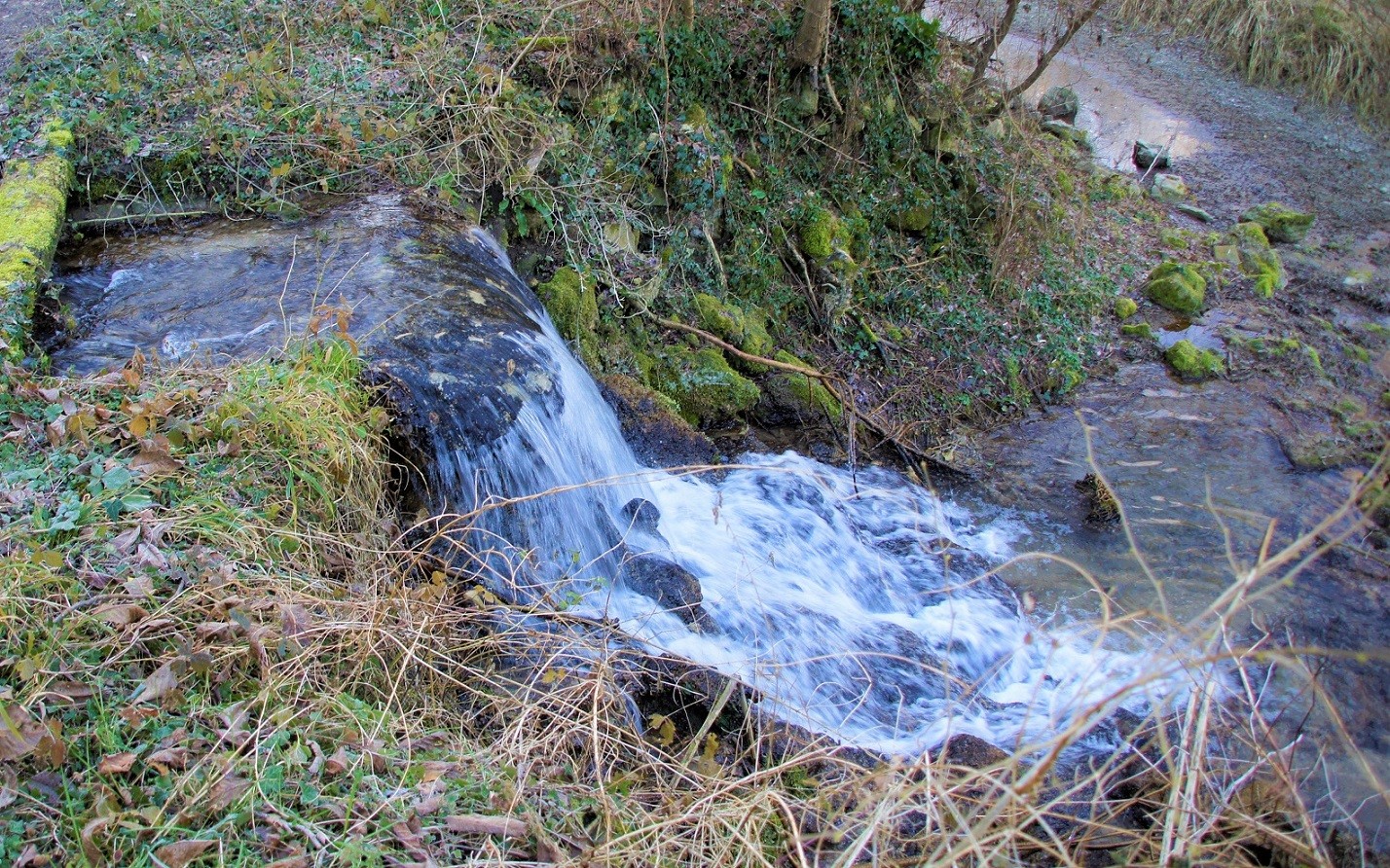 Ruisseau se jetant dans l'Allier