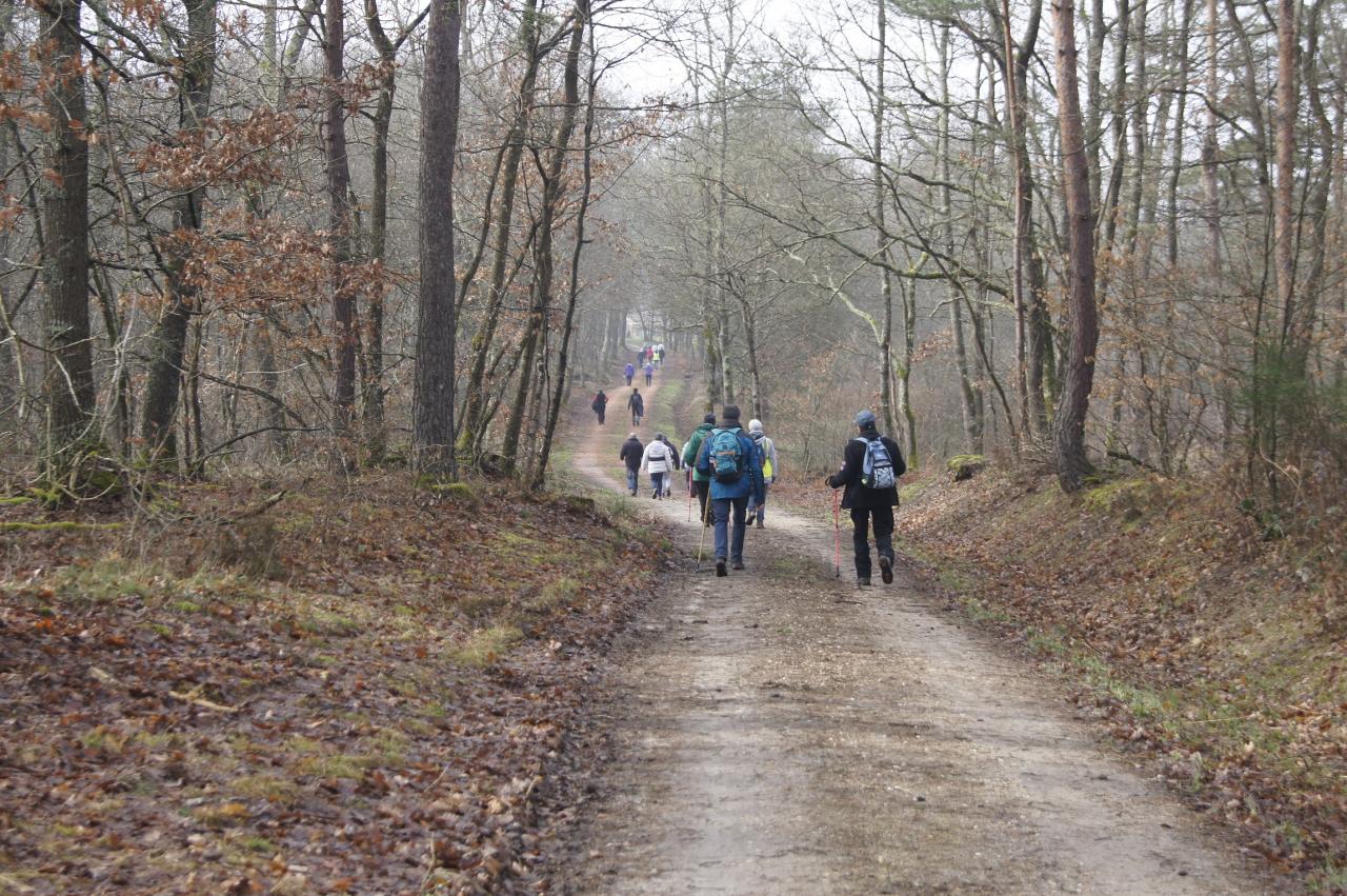 Sortie St  Remy en Rollat février 2017