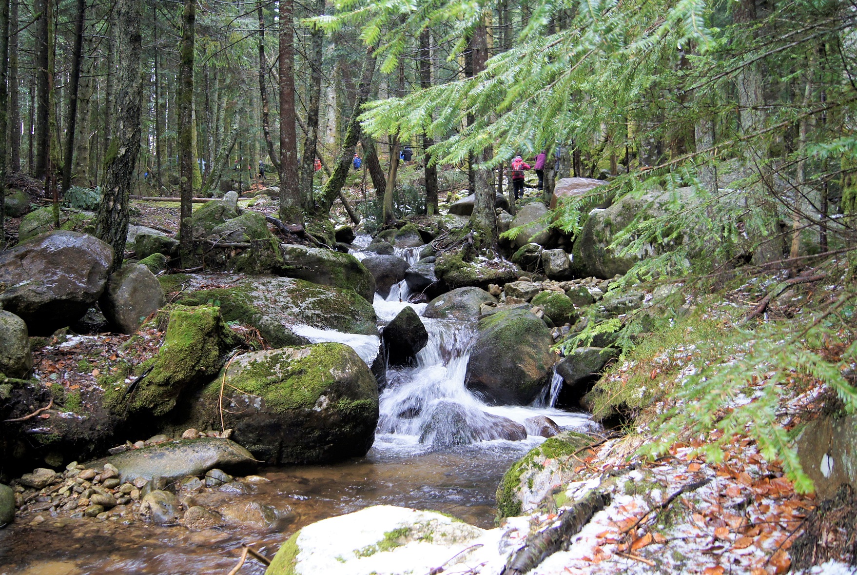 Sur le chemin de la rando de Chalmazel