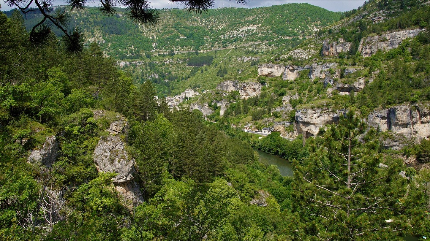 Vallée de Sainte Enimie