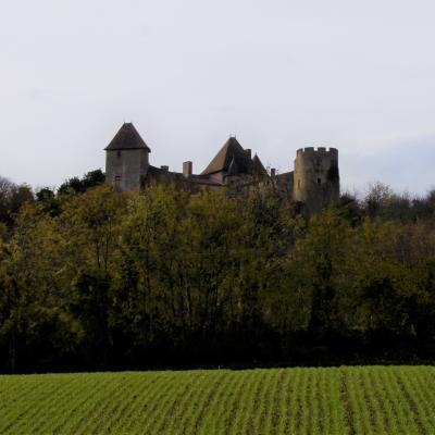 Paysages