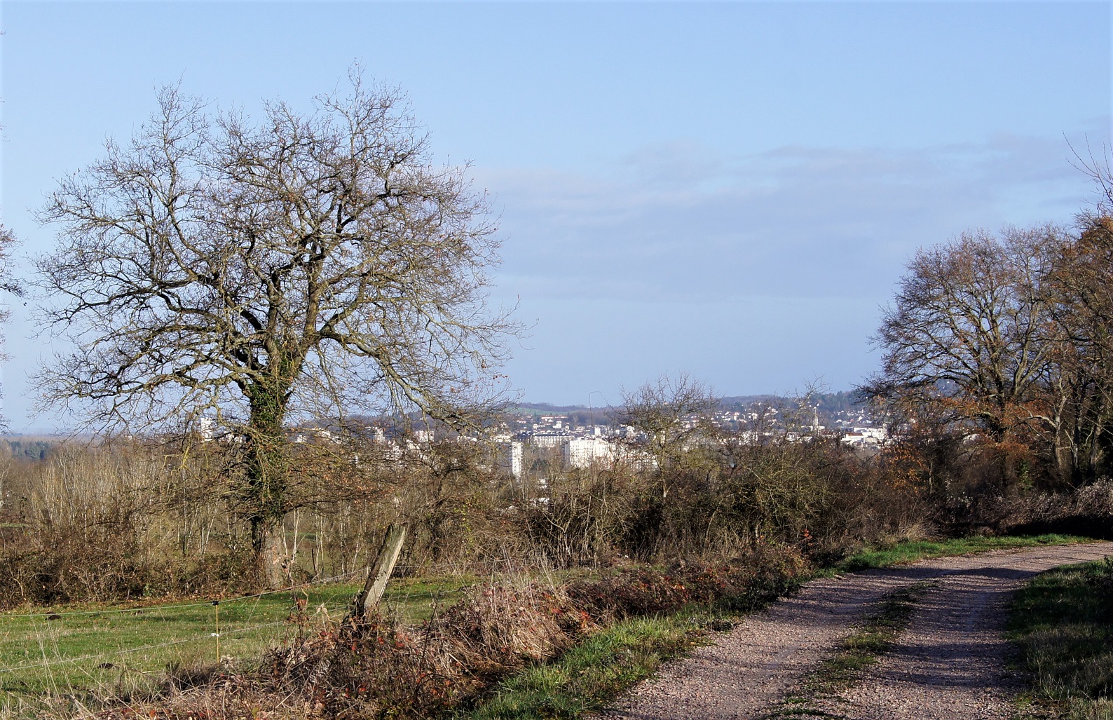 Vue sur Bellerive sur Allier-1