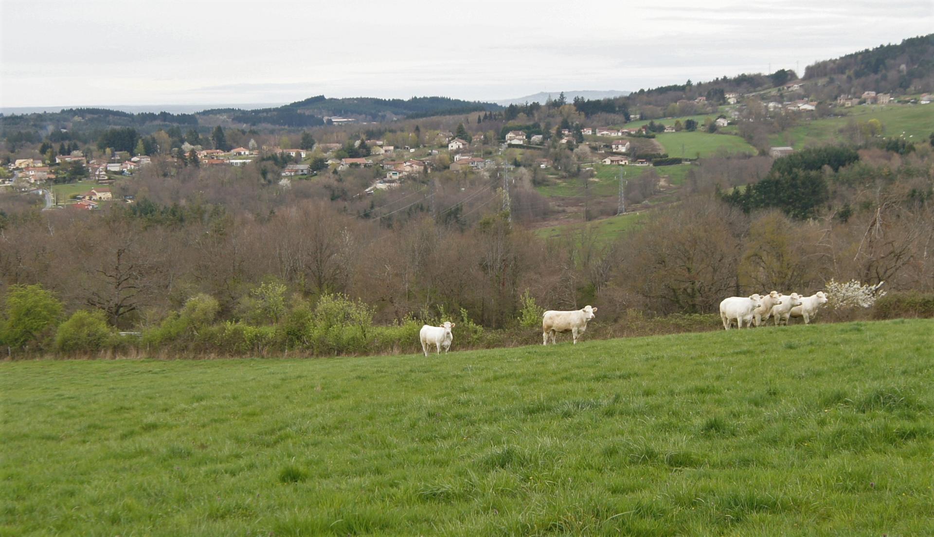 Vue sur la campagne aux Garniers