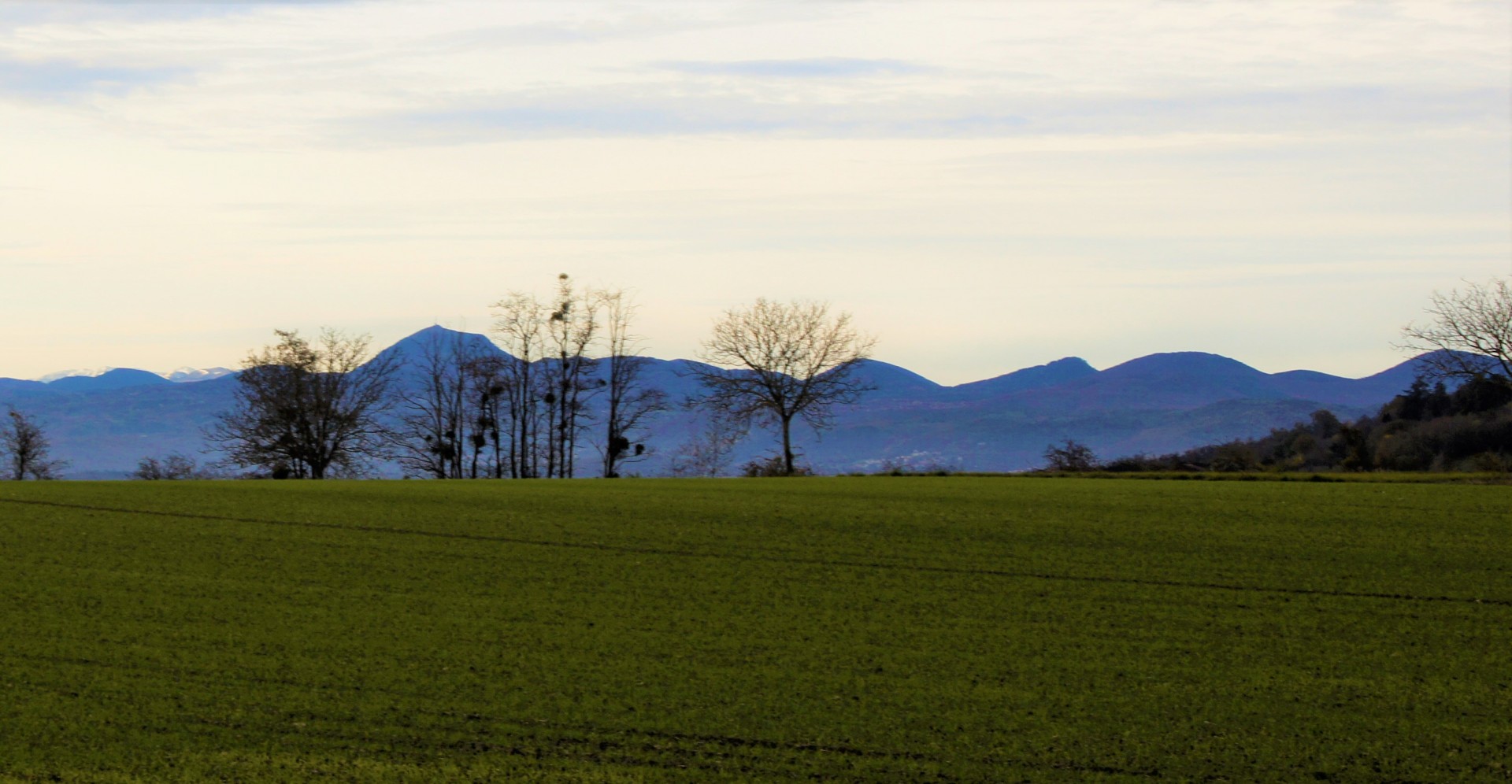 Vue sur la chaine des puys