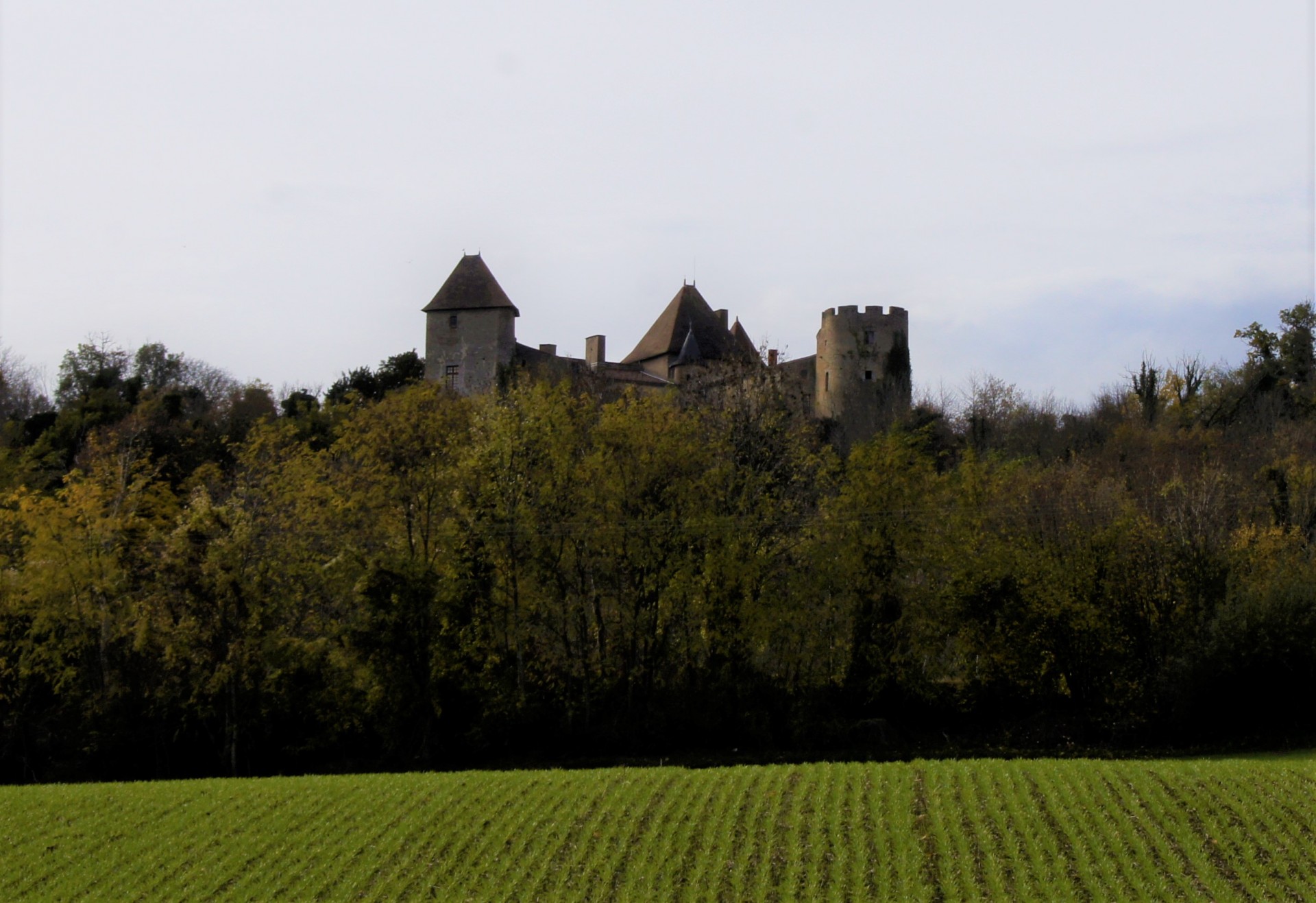 Vue sur le chateau de Chaptuzat